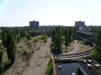 26.webp