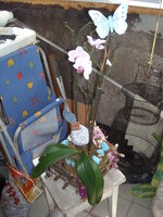 DSCN4470.JPG