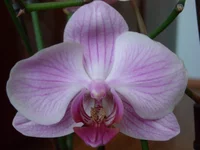 DSCN4473.JPG