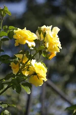 IMG_3376.webp