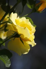 IMG_3377.webp