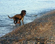  527.webp
