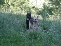 6.07.09 149.webp