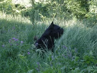 6.07.09 152.webp