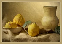 aiva_var_ua.webp