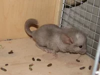 29 августа 09 018.webp