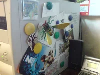 DSC01240.webp