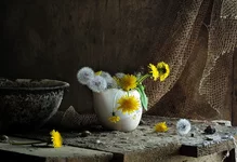 DOK_2134.webp