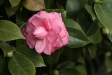IMG_6245_2.webp
