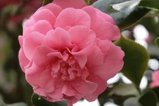 IMG_6260_2.webp