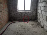 image(6).webp