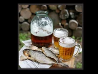 ribaandpivo.webp