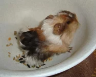 2016-02-10 19.03.40.webp