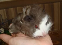 2016-02-11 12.53.03.webp