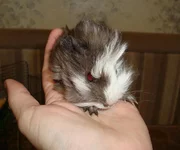 2016-02-11 12.49.06.webp
