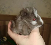 2016-02-11 12.48.40.webp