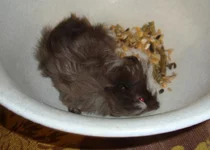 2016-02-11 12.47.32.webp