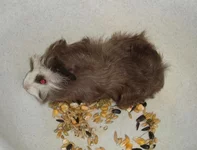 2016-02-11 12.48.05.webp