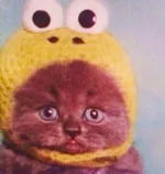 half2.webp half2.webp