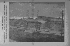 41.webp