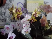 aTfCAudKCMg.webp