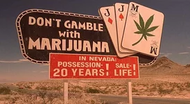 dont-gamble-with-marijuana-hbtv-hemp-beach-tv-2016.jpg