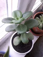 20160222_104441.webp