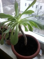 20160222_104525.webp