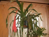 IMG_3290.webp