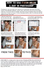 2full.webp