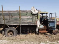 14.webp