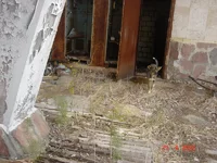 22.webp