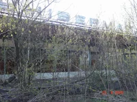 28.webp