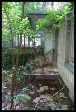 36.webp