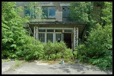 66.webp