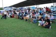 DSC_9192.webp