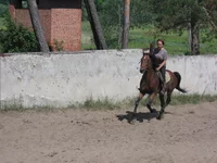IMG_2991.webp