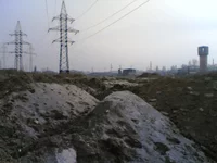 Picture(1991).webp