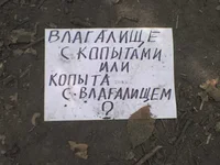 DSC00010.webp