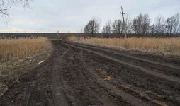 DSCF0273.webp