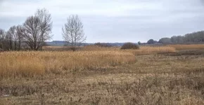 DSCF0276.webp