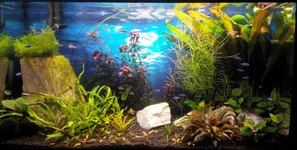 foto2.webp