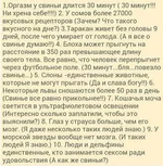  свиньи.webp