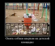 r7q2s3KJLps.webp