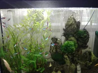 20160302_085131.webp