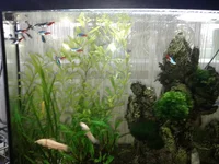 20160302_085158.webp