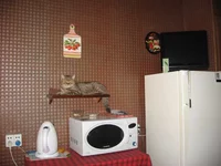 IMG_4660.webp