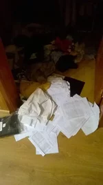 12791043_1690083044614136_6194518003573743728_n.webp