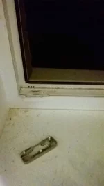 12804742_1690082967947477_2364501722751896477_n.webp
