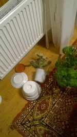 12805714_1690082981280809_4906096787552121801_n.webp
